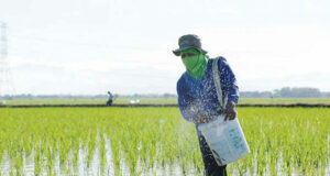 Regional fertilizer sourcing to cut exposure to volatile Gulf supply